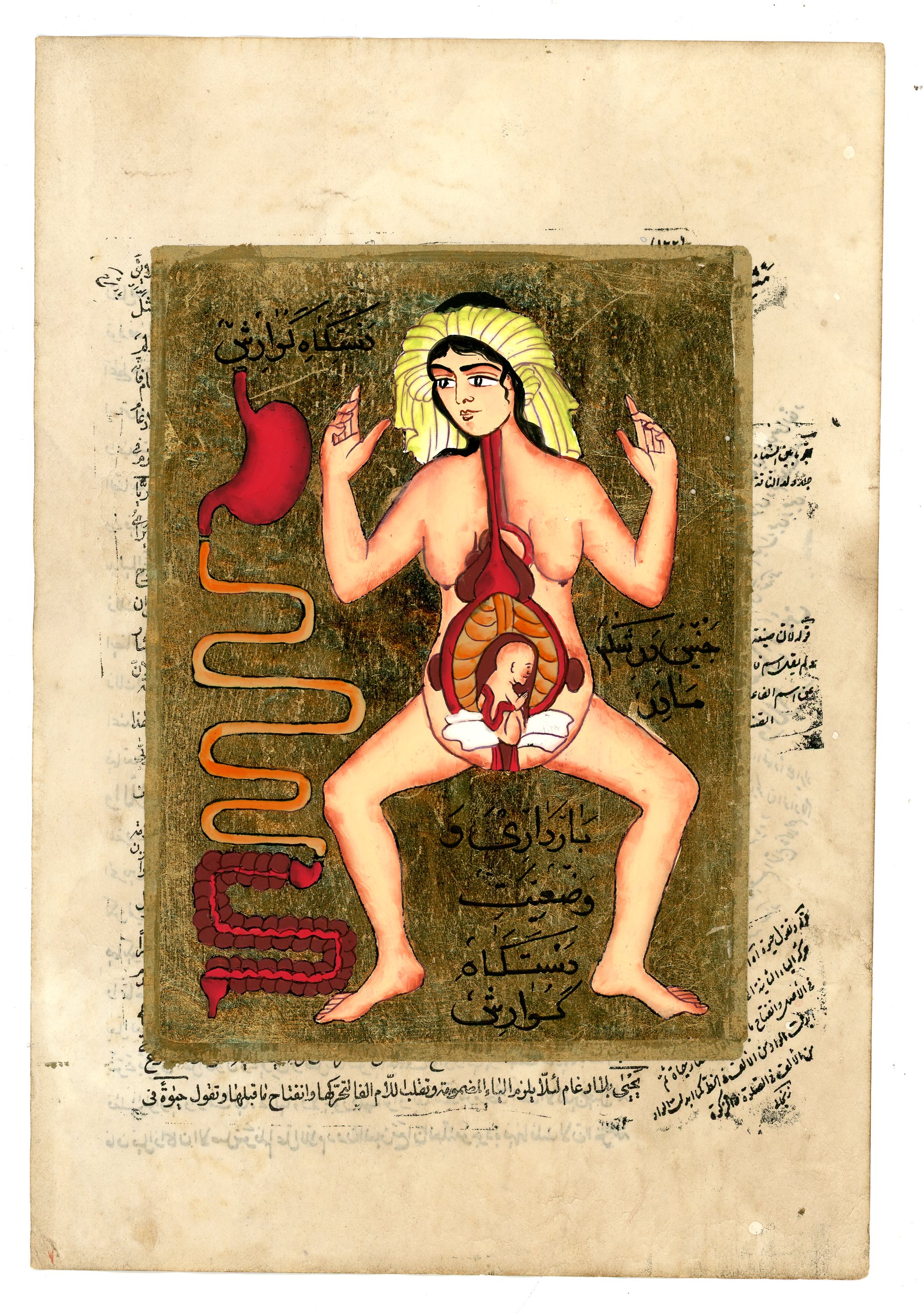lamina anatomia medico persa 1u